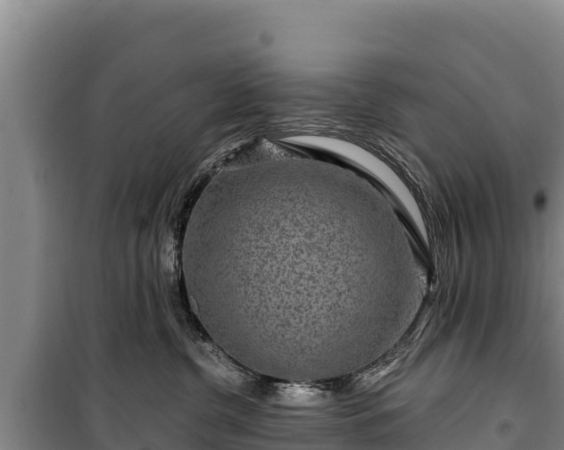 X0000100210380200806061351