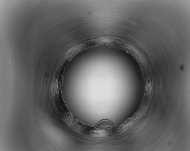 X0000100210381200806061351