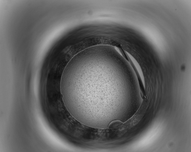 X0000100210383200806061351