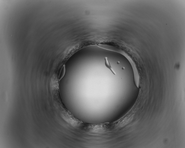 X0000100210384200806061351