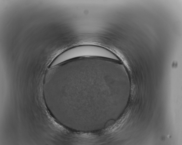 X0000100210385200806061351