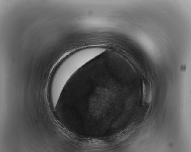 X0000100210387200806061351