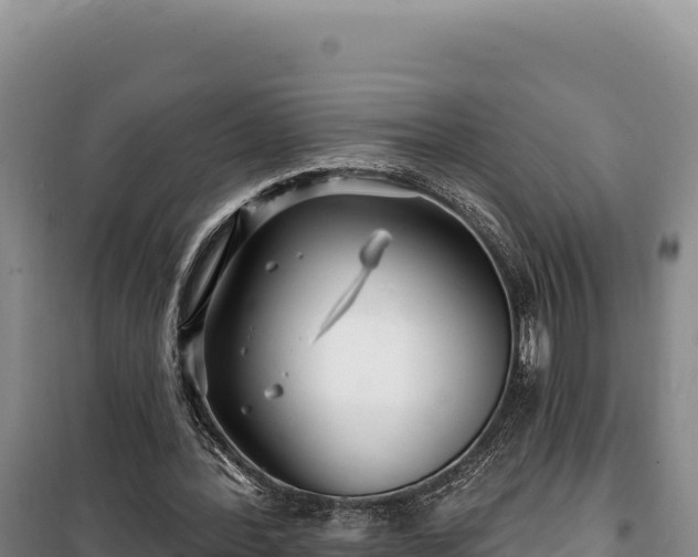 X0000100210388200806061351