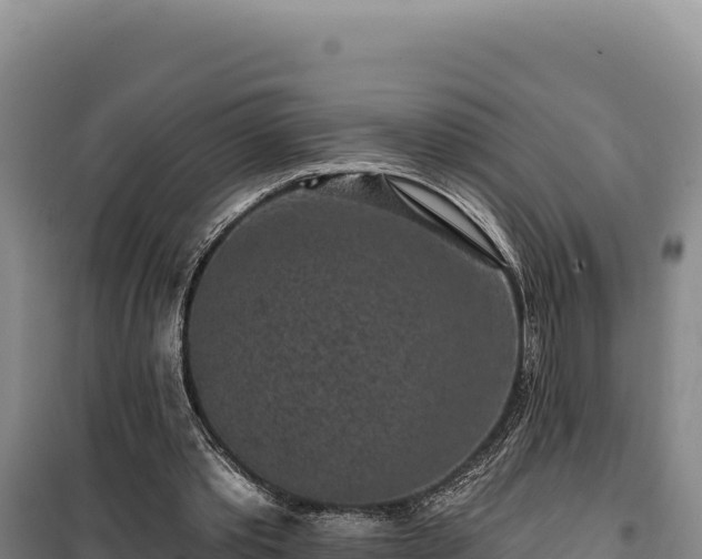 X0000100210389200806061351