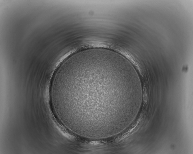 X0000100210390200806061351