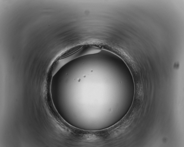 X0000100210392200806061351