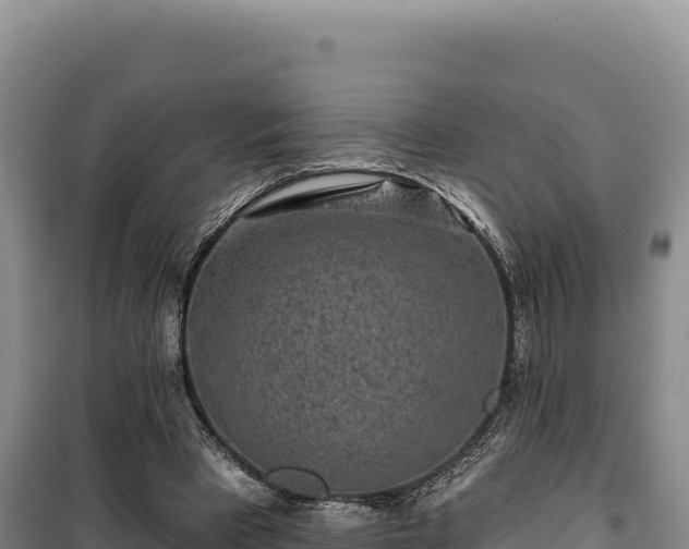 X0000100210393200806061351