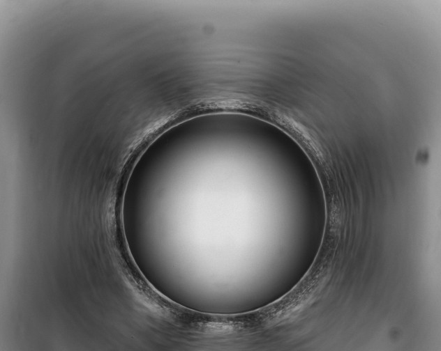 X0000100210394200806061351