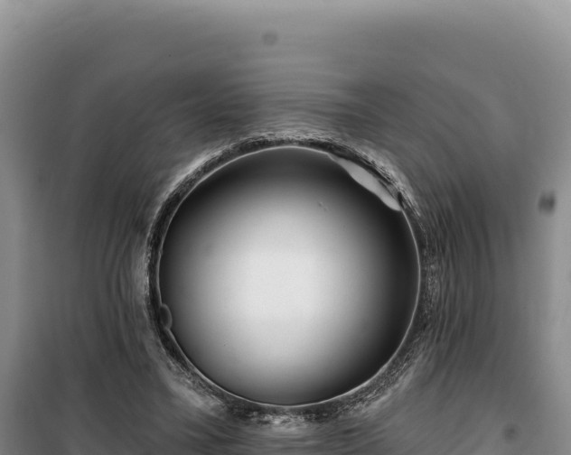 X0000100210395200806061351