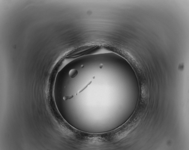 X0000100210396200806061350