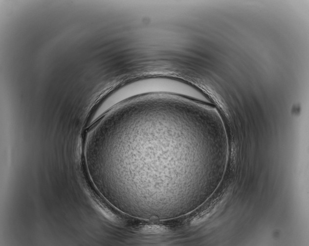 X0000100210397200806061350