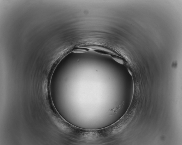 X0000100210398200806061350