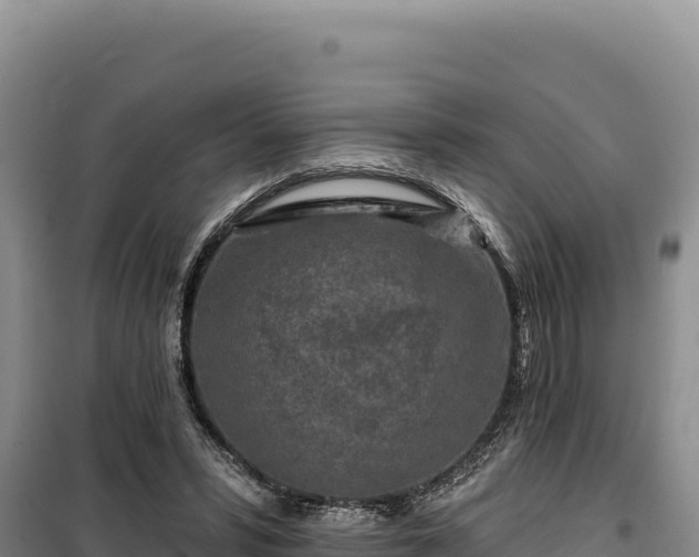 X0000100210399200806061350