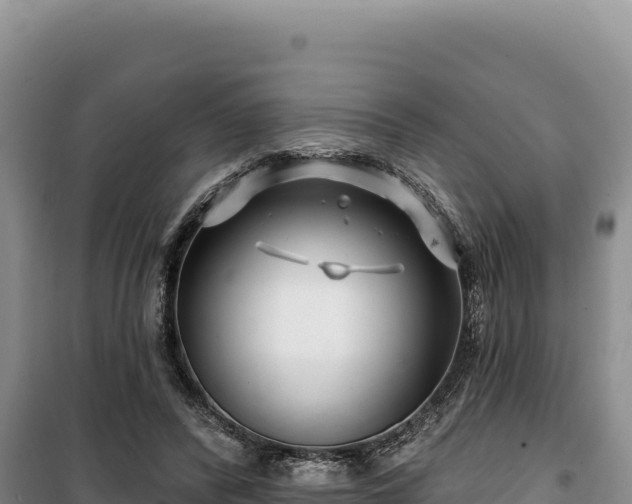 X0000100210400200806061350