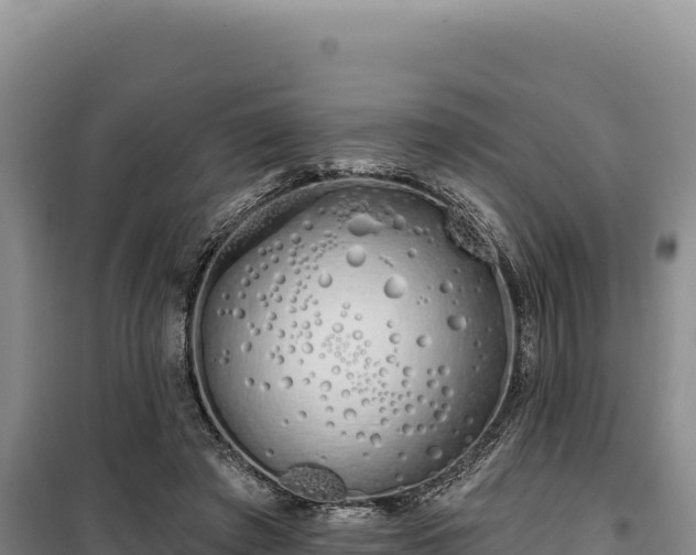 X0000100210401200806061350