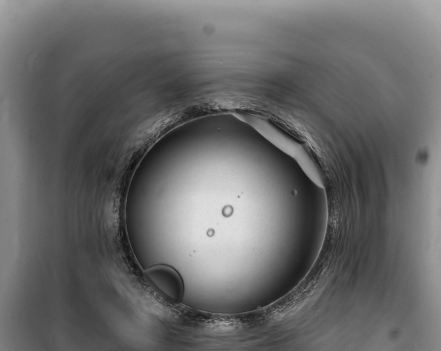 X0000100210402200806061350