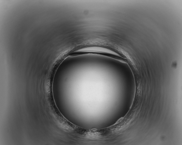 X0000100210403200806061350