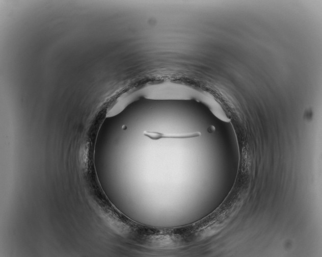 X0000100210404200806061350