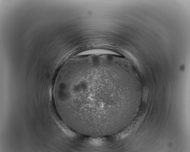 X0000100210405200806061350