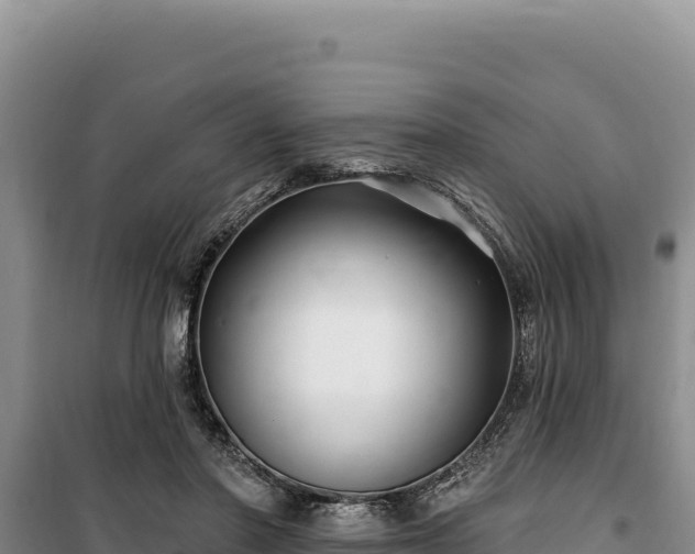 X0000100210406200806061350