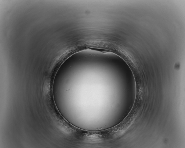 X0000100210407200806061350