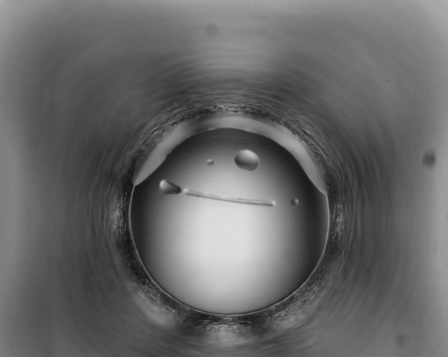 X0000100210408200806061350