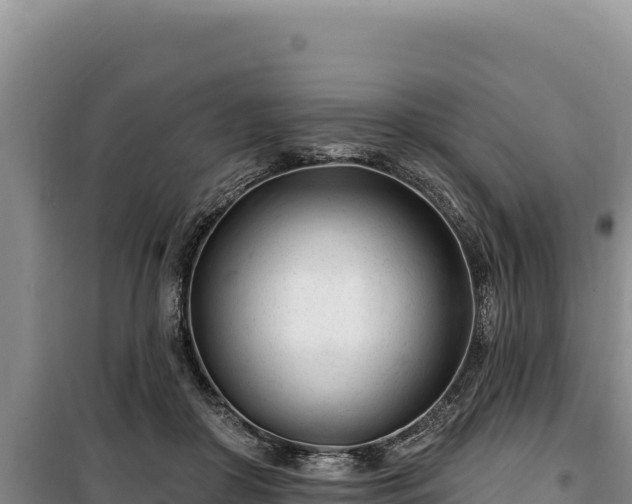 X0000100210410200806061350