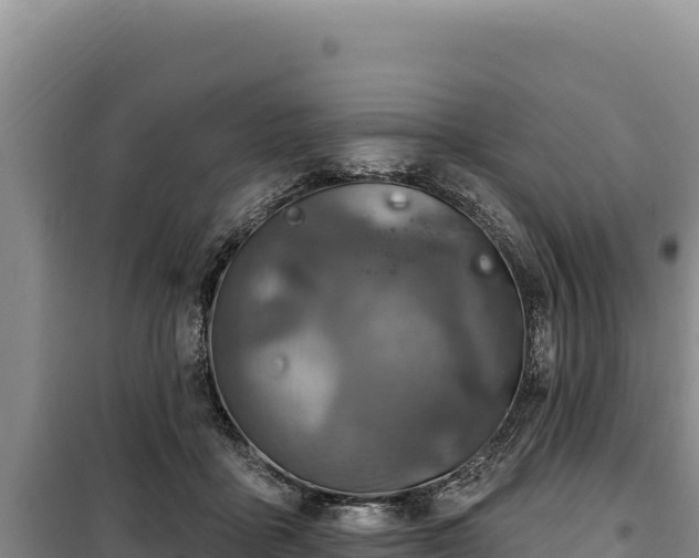 X0000100210411200806061350