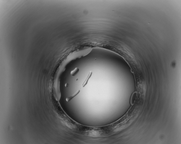 X0000100210412200806061350