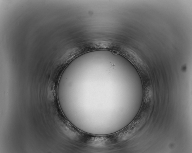 X0000100210414200806061350