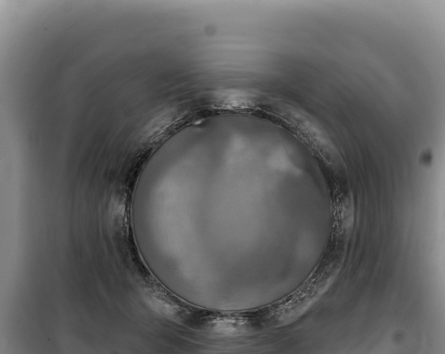 X0000100210415200806061350