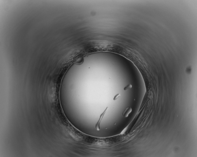 X0000100210416200806061350