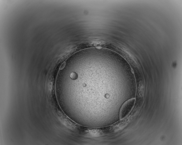 X0000100210417200806061350