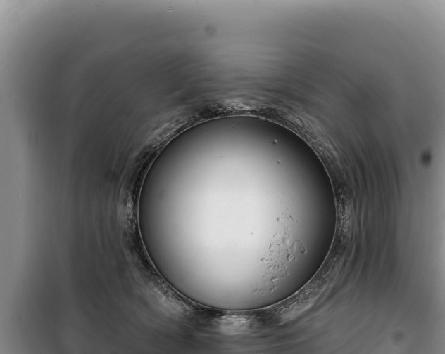 X0000100210418200806061350