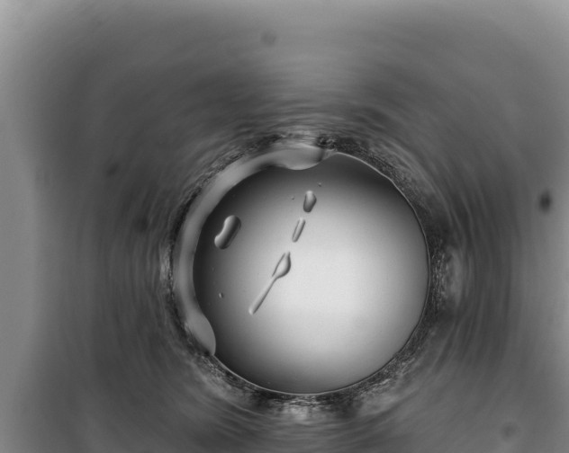 X0000100210420200806061350