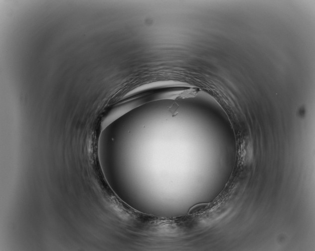 X0000100210424200806061350