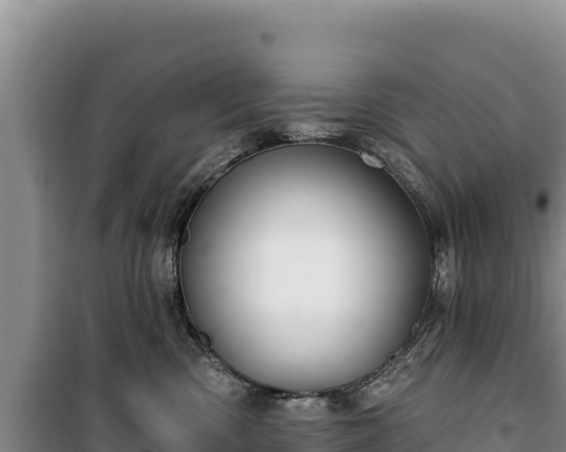 X0000100210426200806061350