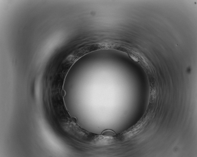 X0000100210429200806061350