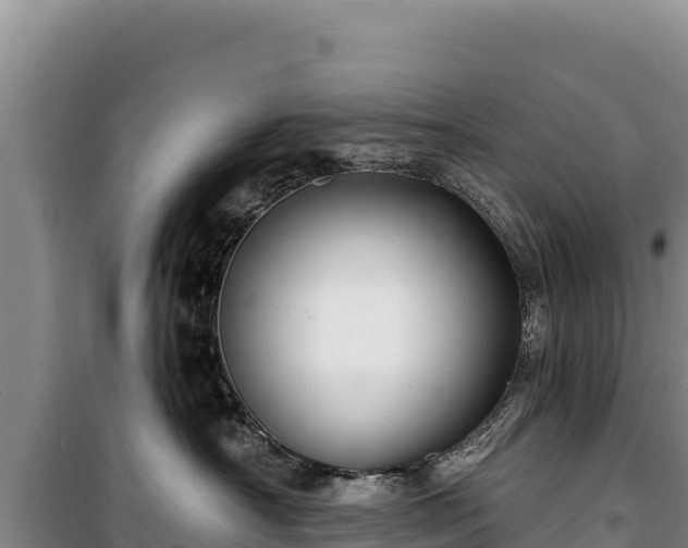 X0000100210430200806061350