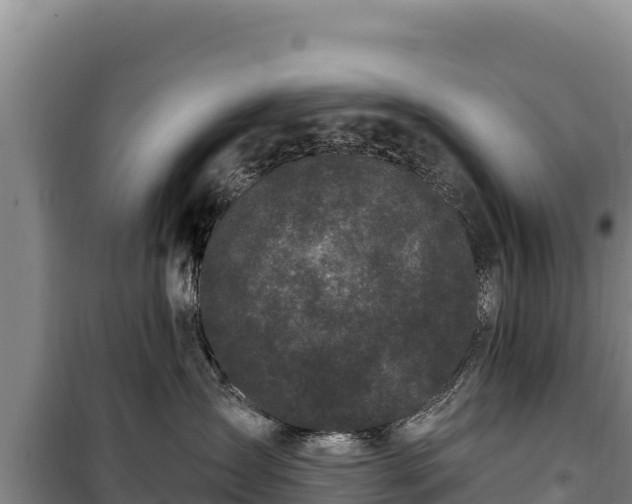 X0000100210431200806061350