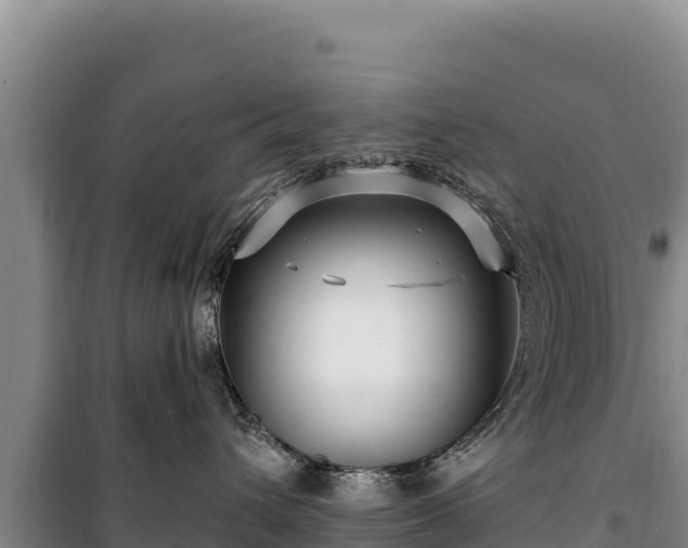 X0000100210432200806061350