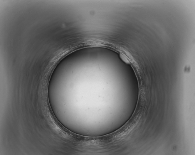 X0000100210433200806061349