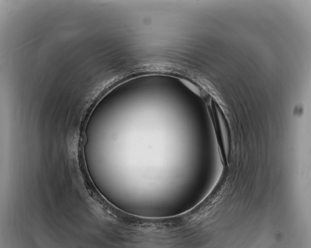 X0000100210434200806061349