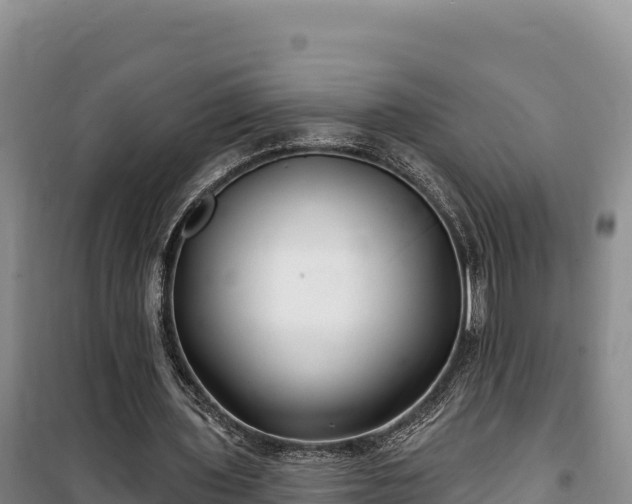 X0000100210435200806061349