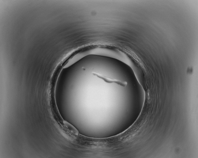 X0000100210436200806061349