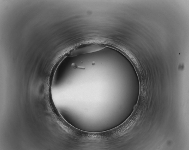 X0000100210437200806061349