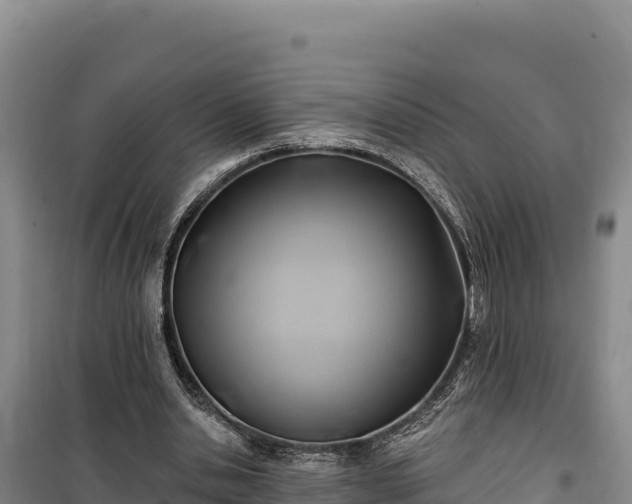 X0000100210438200806061349