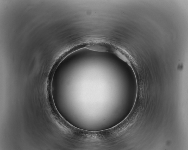 X0000100210439200806061349