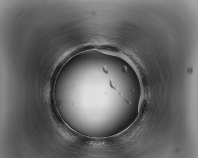 X0000100210440200806061349