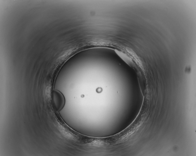 X0000100210441200806061349